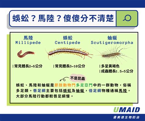 家裡一直出現蜈蚣|【家裡常見蜈蚣】家裡常見蜈蚣？別害怕！一篇搞定居。